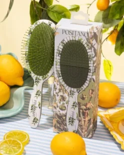Framar Limoncello - Detangle Brush - Positano