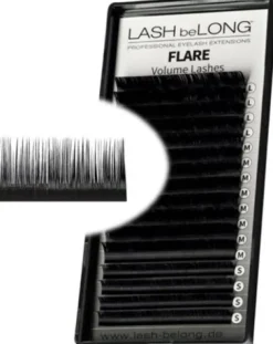 LASH beLONG Flare Volume Lashes D-Curl Mix-Box