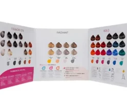 Alter Ego Passion Color Mask Farbkarte 2024