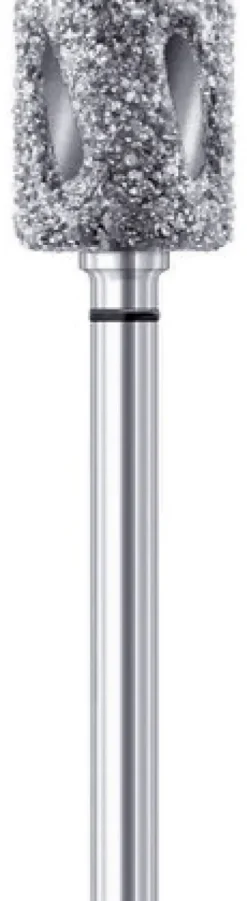 Busch DiaTwister D-Schleifer DT5840