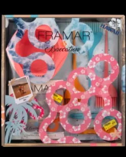 Framar Baecation Colorist Kit