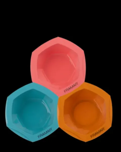 Framar Baecation Colorist Kit