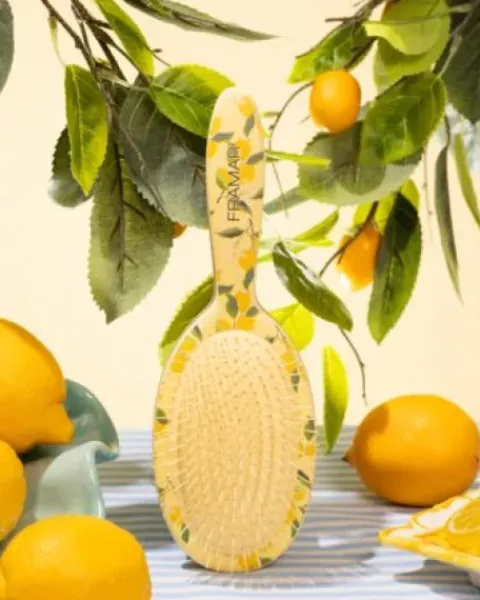 Framar Limoncello - Detangle Brush - Amalfi