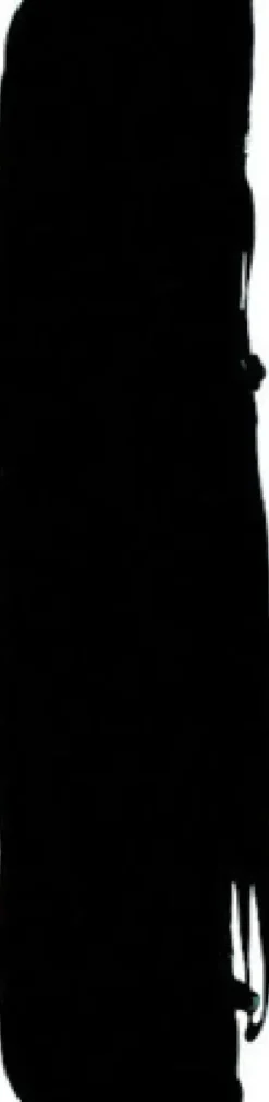 Ionto Comed Tragtasche