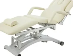 Kosmetikliege Malve II