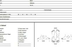 Kundenkarteikarten Fusspflege