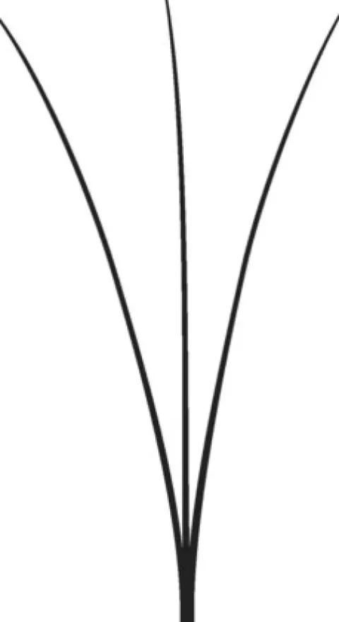 LASH beLONG Easy Volume Lashes 3D - MIX-Box C-Curl