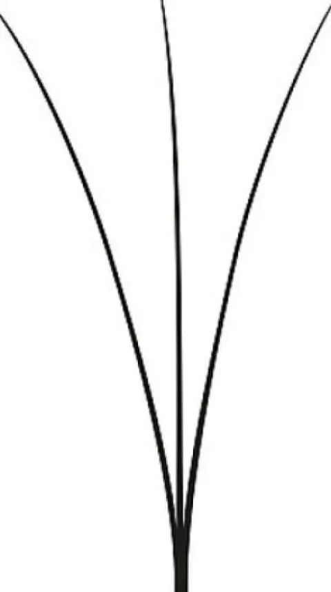 LASH beLONG Easy Volume Lashes 3D - MIX-Box D-Curl