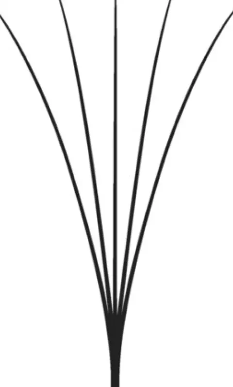 LASH beLONG Easy Volume Lashes 5D - MIX-Box C-Curl