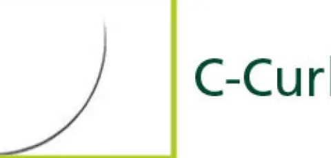 LASH beLONG Mink Lashes soft & glossy C-Curl