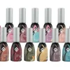 Magnetic Gelpolish Color