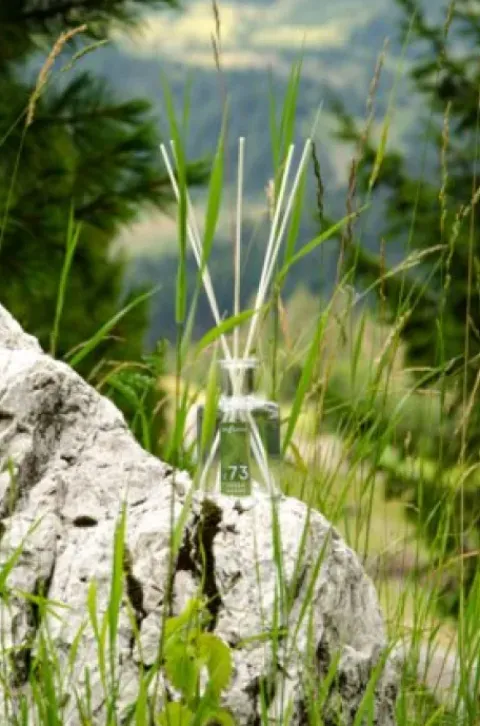 My Senso Alpine Collection Diffuser N°73 Fresh Herbs