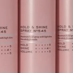 REF Hold & Shine Spray Nr. 545