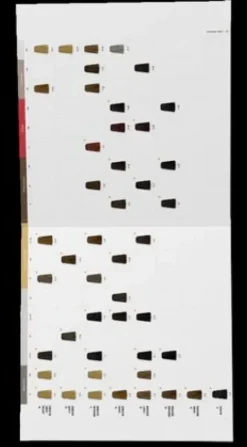 Schwarzkopf Igora Zero Amm Compact Book