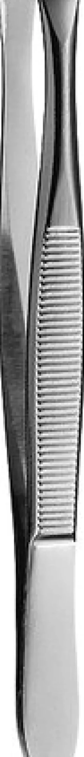 SÜDA Excalibur Pinzette schräg