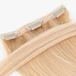 Seiseta Free Extensions Glatt