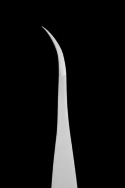 Staleks PRO Wimpernpinzette gebogen EXPERT 40