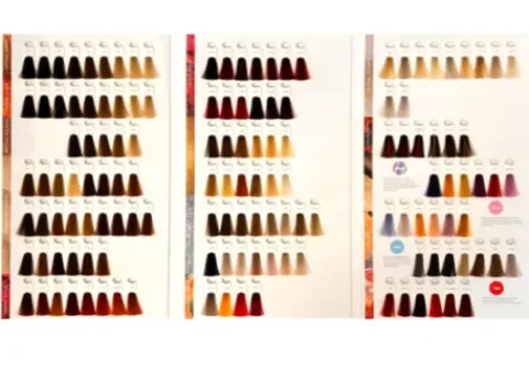 Super Brillant Color Farbberatungskarte 2022